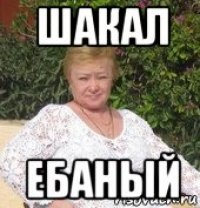 Шакализатор. Сжимаешь Шакал. Шакал Мем. Шакал пиксели.