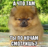 а что там ты по ночам смотришь?