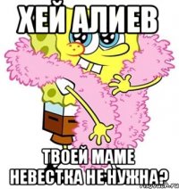 Хей Алиев Твоей маме невестка не нужна?