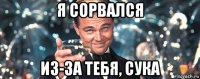 я сорвался из-за тебя, сука