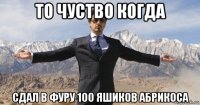 то чуство когда сдал в фуру 100 яшиков абрикоса