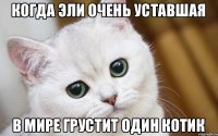 Когда Эли очень уставшая В мире грустит один котик