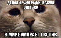 делая орфографическую ошибку в мире умирает 1 котик