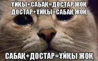 ҰйҚы+сабаҚ=достар жоҚ достар+ҰйҚы=сабаҚ жоҚ сабаҚ+достар=ҰйҚы жоҚ