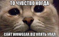 то чувство когда сайт wowgear.biz опять упал