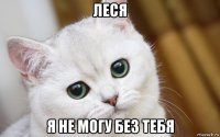 леся я не могу без тебя