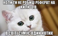 коли ти не робиш реферат на хилю о.в. в світі сумує один котик