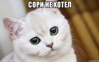 сори не хотел 