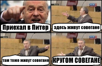 Приехал в Питер здесь живут совегане там тоже живут совегане КРУГОМ СОВЕГАНЕ