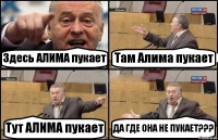 Здесь АЛИМА пукает Там Алима пукает Тут АЛИМА пукает ДА ГДЕ ОНА НЕ ПУКАЕТ???