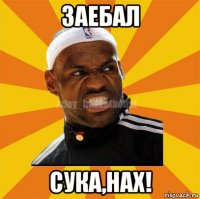 заебал сука,нах!