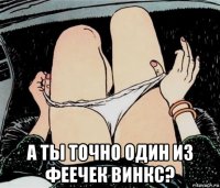  а ты точно один из феечек винкс?