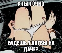 а ты точно будешь у литвы на даче?