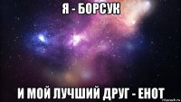 я - борсук и мой лучший друг - енот