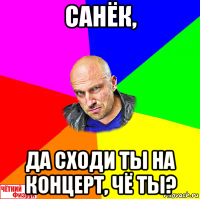 санёк, да сходи ты на концерт, чё ты?