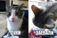 вы суки которые заебали