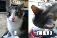 Коокс !!! Заебись пошло