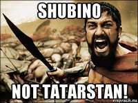 shubino not tatarstan!