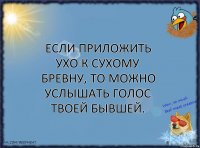 Если приложить ухо к сухому бревну, то можно услышать голос твоей бывшей.