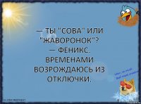 — Ты "Сова" или "Жаворонок"?
— Феникс. Временами возрождаюсь из отключки.