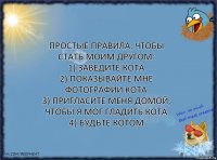 Простые правила, чтобы стать моим другом:
1) Заведите кота
2) Показывайте мне фотографии кота
3) Пригласите меня домой, чтобы я мог гладить кота
4) Будьте котом