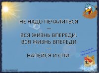 Не надо печалиться —
Вся жизнь впереди.
Вся жизнь впереди —
Напейся и спи.