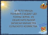 За лето мышь полевка съедает до тонны зерна. Из объяснительной записки Министра сельского хозяйства.