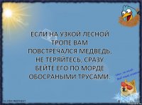 Если на узкой лесной тропе вам повстречался медведь, не теряйтесь, сразу бейте его по морде обосраными трусами.