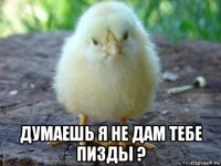  думаешь я не дам тебе пизды ?