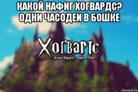 какой нафиг хогвардс? одни часодеи в бошке 