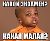 какой экзамен? какая малая?