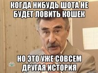 когда нибудь шота не будет ловить кошек но это уже совсем другая история