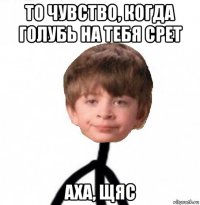 то чувство, когда голубь на тебя срет аха, щяс