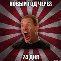 новый год через 24 дня