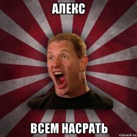 алекс всем насрать