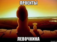 проекты левочкина