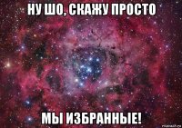 ну шо, скажу просто мы избранные!