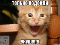 только подойди укушу!!!!