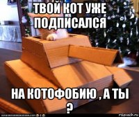 твой кот уже подписался на котофобию , а ты ?