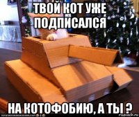 твой кот уже подписался на котофобию, а ты ?