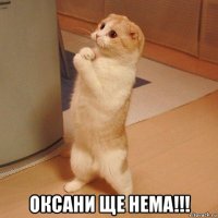  оксани ще нема!!!