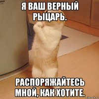 я ваш верный рыцарь. распоряжайтесь мной, как хотите.