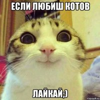 если любиш котов лайкай;)