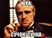 юра сучок/сучка