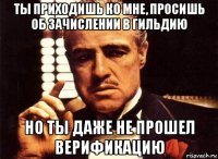 ты приходишь ко мне, просишь об зачислении в гильдию но ты даже не прошел верификацию