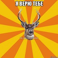 я верю тебе 