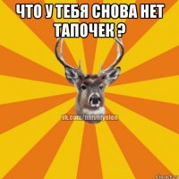 что у тебя снова нет тапочек ? 