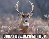  вова,где двери блядь?