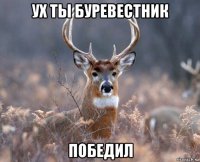 ух ты буревестник победил