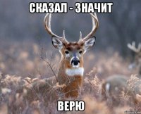 сказал - значит верю